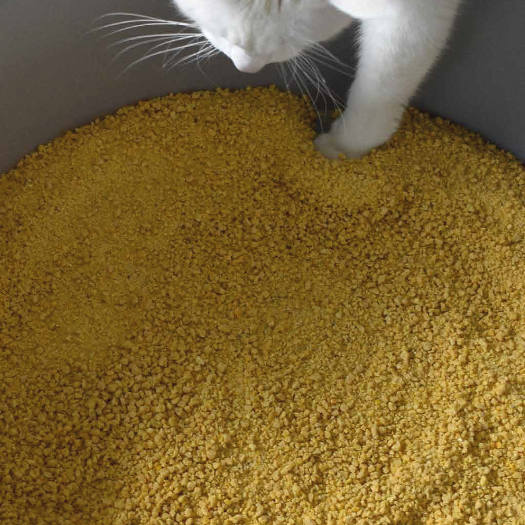 Bulto Arena Sanitaria para Gatos 10kg (Limón)